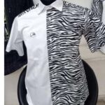 Chemise manches courtes