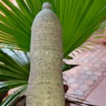 Dèguê au raisin Quantité :1,5