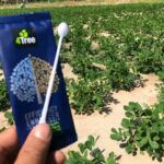 Engrais Bio ionique 4Tree