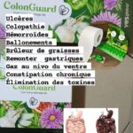 Nettoyeur du côlon