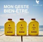 Pulpe d'aloe Vera Gel – Image 2